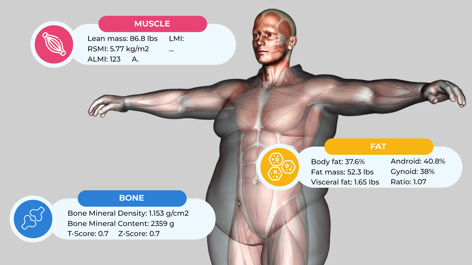 Why Body Composition is important